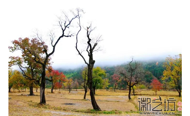 安徽省六安市金寨縣天堂寨風(fēng)景區(qū)